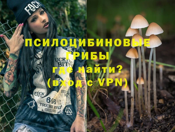 твердый Алзамай