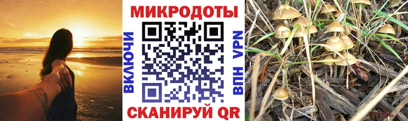 kraken рабочий сайт  цена   Харабали  Псилоцибиновые грибы Magic Shrooms 